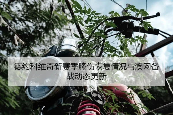 德约科维奇新赛季膝伤恢复情况与澳网备战动态更新 | wukongsports